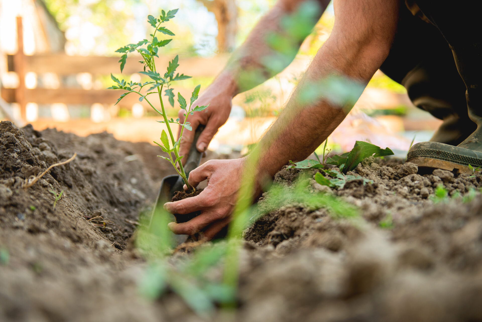 Transform Your Outdoor Space: 7 DIY Backyard Ideas to Try This Summer