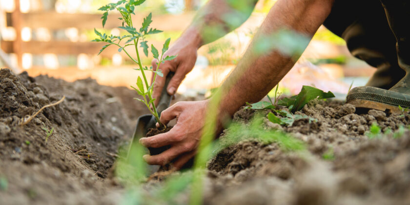 Transform Your Outdoor Space: 7 DIY Backyard Ideas to Try This Summer